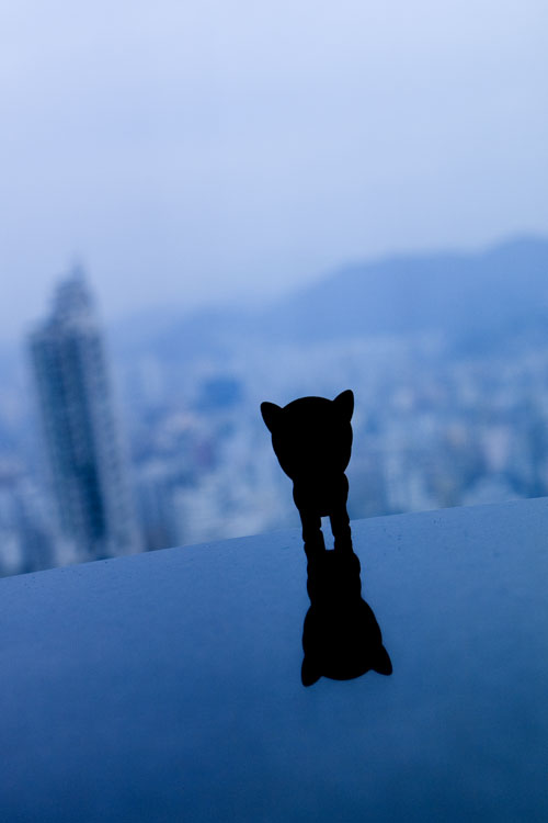 7 Eleven, Dog, Hongkong