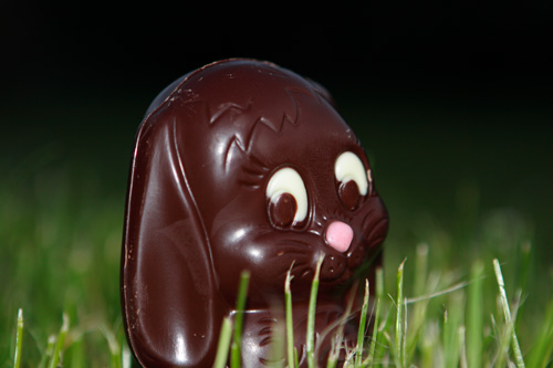 Happy Easter 2007 - Chocolate bunny