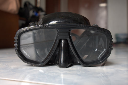 Pro Ear 2000 or IST Pro Ear Diving Mask for dry ears