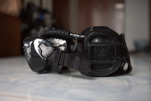 Pro Ear 2000 or IST Pro Ear Diving Mask for dry ears