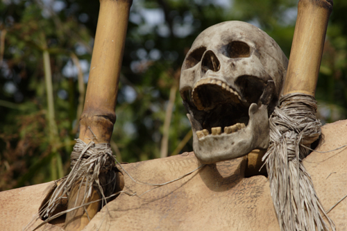 Disneyland Resort HongKong - Skull